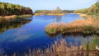 Sopron Fertöto Neusiedlersee [upl. by Jessie462]