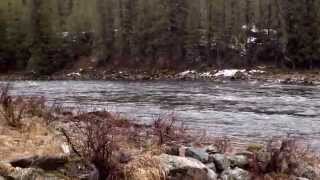 Along hwy 12 Idaho Lochsa river and fish creek junction [upl. by Albarran]