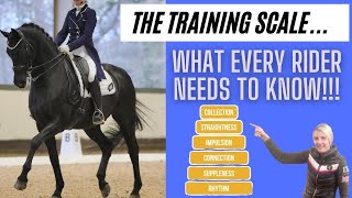 SCALES OF TRAINING  6 WAYS TO SUCCEED IN DRESSAGE  PART 1  DMA TV EP 341 [upl. by Suhsoj]