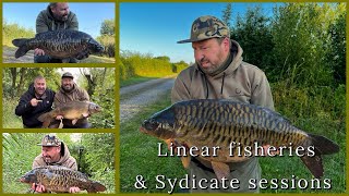 Syndicate and club water carp fishing [upl. by Dnalyk]