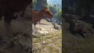 How to find the Carcha in Ark Survival Ark [upl. by Anaizit800]