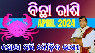 Bichha Rashi April 2024  ବିଛା ରାଶି  Bichha Odia rasifala l April 2024 rashifala scorpio [upl. by Esinehs958]