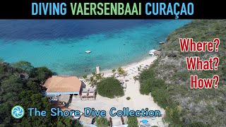 Diving Vaersenbaai aka Kokomo Beach Curaçao  The Shore Dive Collection  TropicLens  4K [upl. by Rosanna]