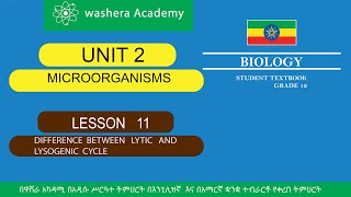 BIOLOGY GRADE 12 UNIT 2 LESSON 11 DIFFERENCE BETWEEN LYTIC AND LYSOGENIC CYCLE [upl. by Yeknarf]