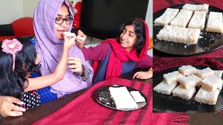 800k Subscribers Special Vlog🥰തേങ്ങ കട്ടി3 ingredients Coconut SweetLockdown SweetSpecial Lunch [upl. by Afaw539]