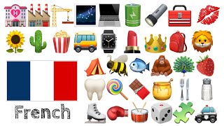 Learn 400 words in French with Emoji  🌻🌵🍿🚌⌚️💄👑🎒🦁🌹🥕⚽🧸🎁 [upl. by Ahsineb]