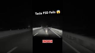 Tesla’s FSD Fails To Detect Deer On The Road Doesn’t Even Slow After Impact shorts teslafsdbeta [upl. by Kablesh634]