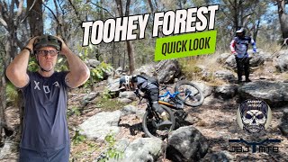 Quick Spin through Toohey Forest [upl. by Dammahom]