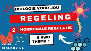 5 vwo  Regeling  2  Hormonale regulatie [upl. by Glennie794]