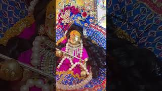 laddu Gopal ka Aisa video aapane pahle nahin dekha hoga pyare laddu Gopal viral short video [upl. by Grosz924]