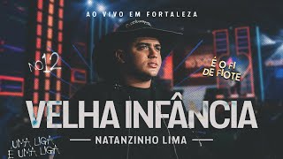 Natanzinho Lima  Velha Infância  No Doze [upl. by Notsirhc]