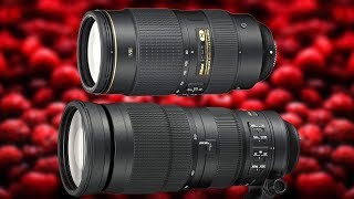 Nikon 200500mm vs Nikon 80400mm  Which Lens Do I Like Better amp Why D610 D5500 [upl. by Herb300]