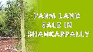 farm land sale in shankarpally  12 acres [upl. by Nimsay]