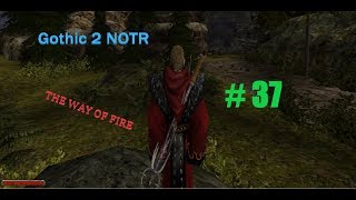 Gothic 2 NOTR Walkthrough  Parte 37 Tumba de Quarhodron [upl. by Barcroft]