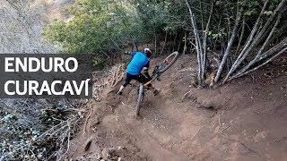 Enduro en la La Polygon T8 en Curacaví Mountain Bike Saltos Caídas en Bicicleta y Consejos [upl. by Ecnatsnoc]