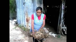 “Medicina herbolaria tradicional de las parteras de la comunidad de San Pablo Huixtepec” [upl. by Iba]