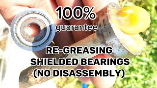 How to re grease shielded bearings  Easy way of greasing bearings without disassembly [upl. by Trebla574]