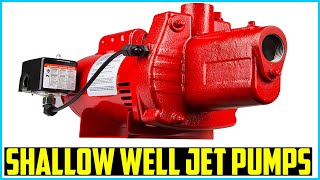 Top 5 Best Shallow Well Jet Pumps in 2024– Reviews [upl. by Ydnyl]