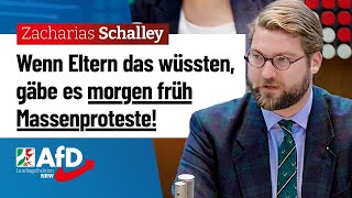 Wenn Eltern das wüssten – Zacharias Schalley AfD [upl. by Yendor]