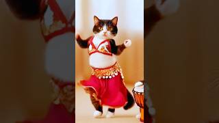 Cat Dancing🐈💃 cute cat dancing catdance viralshorts [upl. by Terchie]