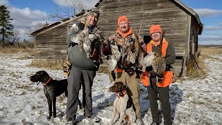 Pheasant Hunting on North Dakotas Mallard Island  The Flush Season 11 Episode 6 [upl. by Atnom497]