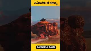 Whale explode facts kannada facts factsinkannada [upl. by Draw580]