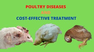 Poultry Diseases Symptoms and Treatment [upl. by Gignac]