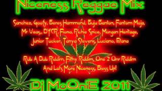 Niceness Reggae Mix 2011 Dj MoOniE [upl. by Keon]