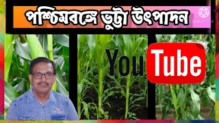 Maize Production in West Bengal Explain by Dr Bikas Mandal in Bengali কৃষিতেবিকাশ [upl. by Leachim]