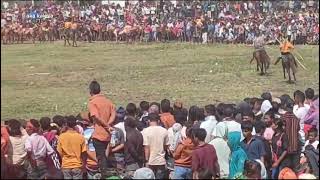 Seru Pasola Bondo Kawango sumba budaya indonesia ntt pasola [upl. by Nilerual]