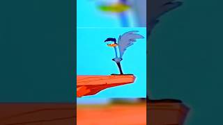 Classic Cartoon Coyote vs Roadrunner cartoon classic funny shorts viral [upl. by Miharba]