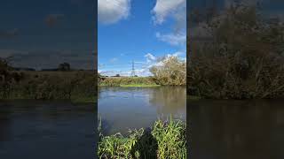 River Soar End of September 2024 river charnwood eiversoar [upl. by Aihsiek258]