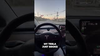 Insane 🚗 Tesla Software Revealed Can It Truly Drive Itself 🤖 [upl. by Akinimod]