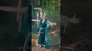 Trivia zu unserem Song Faunus Deum ✨ fairytalefantasy fantasyfolk faun folkband [upl. by Felita]