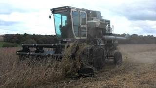 AllisChalmersGleaner F2 Combine [upl. by Knick]