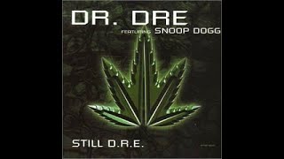 Ice Cube DRE Snoop MC Lyte  Lyrics warning drdre snoopdogg icecube [upl. by Yannodrahc13]