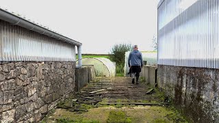 Visite de la Ferme botanique de Kerveat [upl. by Ardle]