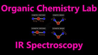 How Infrared Spectrophotometers Work  Organic Chemistry Lab Techniques [upl. by Dugas364]