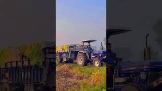 Farmtrac 60 Tractor trali bhinderfarmertv trending tractor viralshorts [upl. by Atiuqal998]