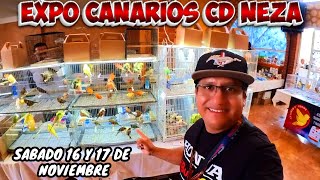 🔥EXPO de increíbles Canarios Muchas Razas en cd Nezahualcóyotl variedad y precio 💲 [upl. by Ardnatal]