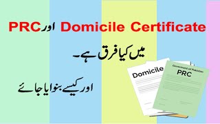 Difference in Domicile and PRC  How to make Domicile Certificate in Pakistan [upl. by Adnorehs395]