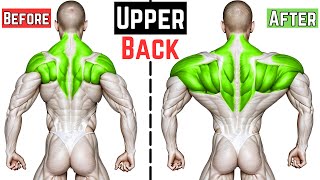 Upper Back Workout  Top 6 Exercises for Stronger Upper Back [upl. by Argent]