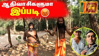 ஆதிவாசிகள்  இலங்கை Tribes Foods  Mahiyankane  Sri lanka  sltamilvlogs [upl. by Ahsenot]