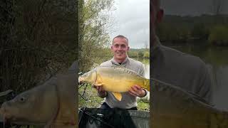 Belle miroir  carpe carpfishing carpiste carp carpfish fishing fish pechedelacarpe [upl. by Eneryt569]