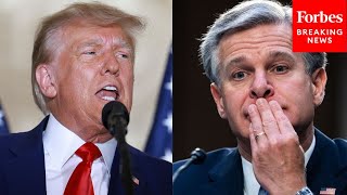 GOP Senator Confronts Chris Wray Over Treatment Of Donald Trump By The FBI [upl. by Terrance]