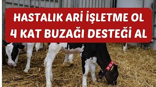 Genç ve Kadınlara Daha Çok Destek amp Daha Fazla Buzağı Desteği İçin Ari İşletme Olmak [upl. by Amero]