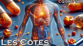 Anatomie des Côtes  CQ086 [upl. by Earla745]