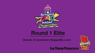 2019 NADAC Championships Round 1 Elite [upl. by Ednalrym]