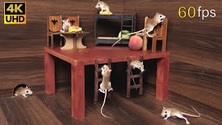 Cat TV happy amp active mice hide amp seek and enjoying picnic for cats to watch 8 Hour 4k 60fps [upl. by Nipsirc]