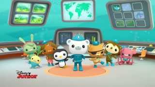 Octonauts  La minute sousmarine  La méduse à crinière de lion [upl. by Andy]